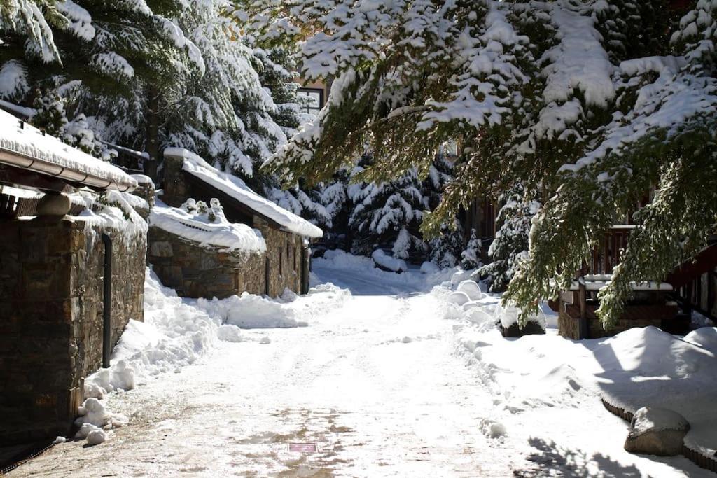 El Tarter - Andorraアパートメント エクステリア 写真